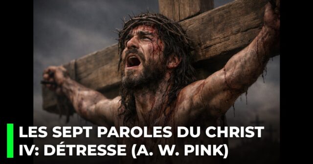 Les sept dernières paroles du Christ sur la croix. IV _ La parole de détresse